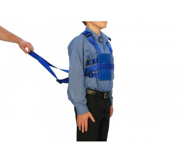 Walking reins discount for adults